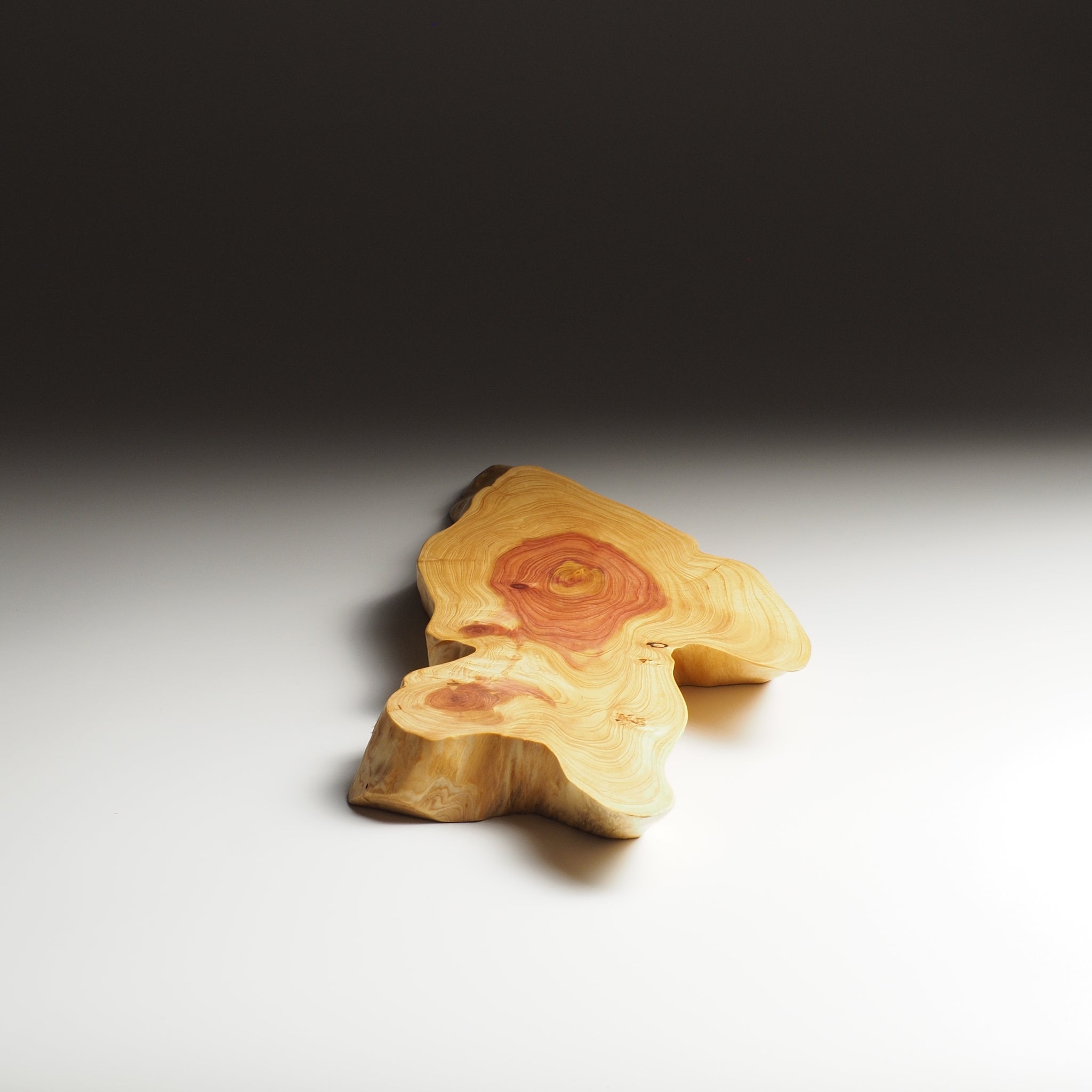 A Japanese wooden sushi tray on a gray gradient background. Tsukushi